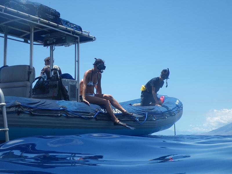 Illustration for article titled Review: Pentax W60 Waterproof Camera Catching Whale Sharks